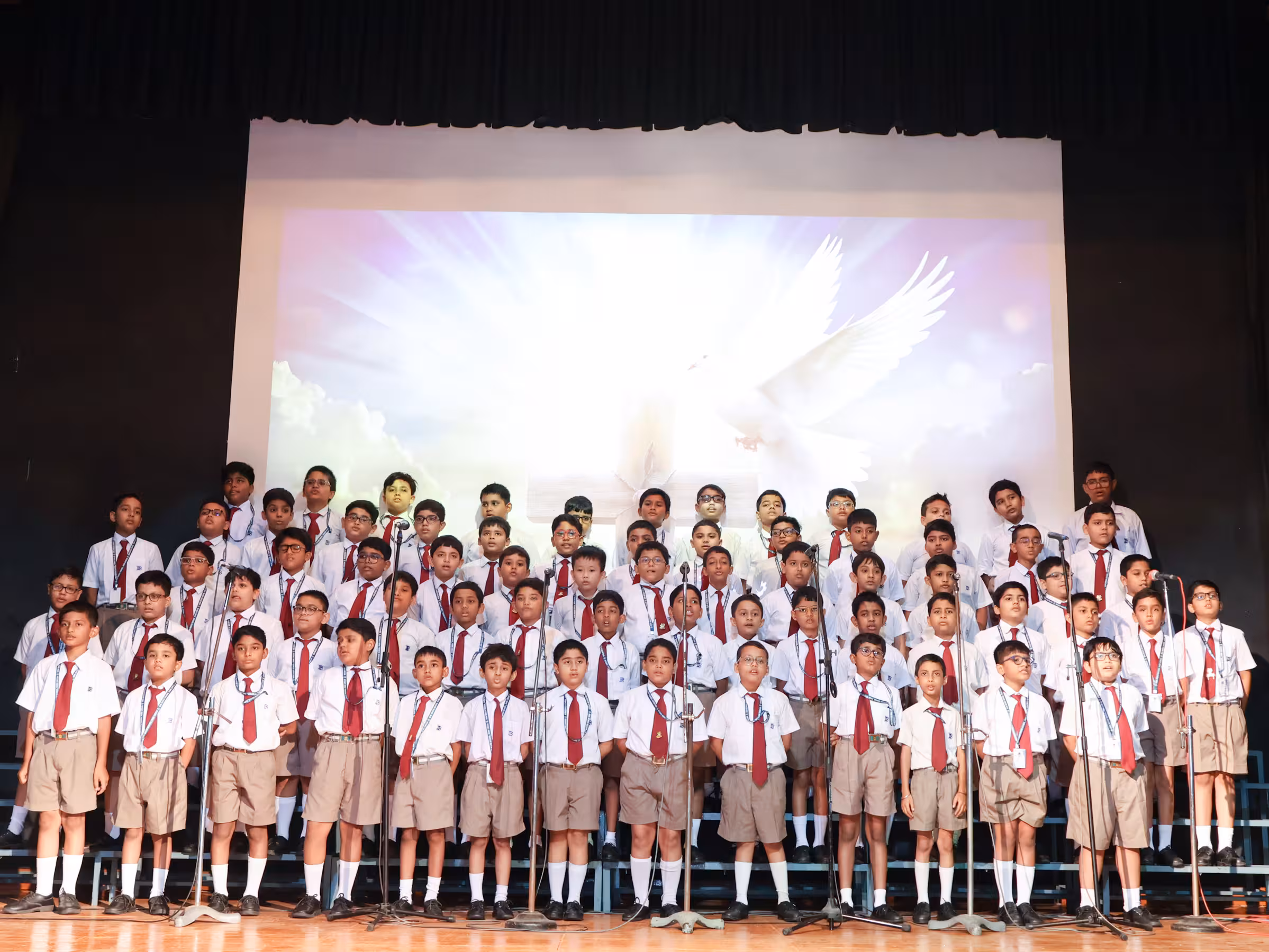 Bosco Chriz thumbnail